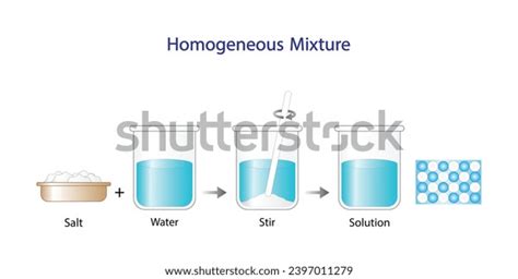 Homogeneous Mixture Solution Uniform Composition Salt Stock Vector (Royalty Free) 2397011279 ...