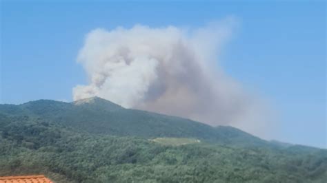 FOTO Dve leti po usodnem požaru je na Krasu znova zagorelo požar naj