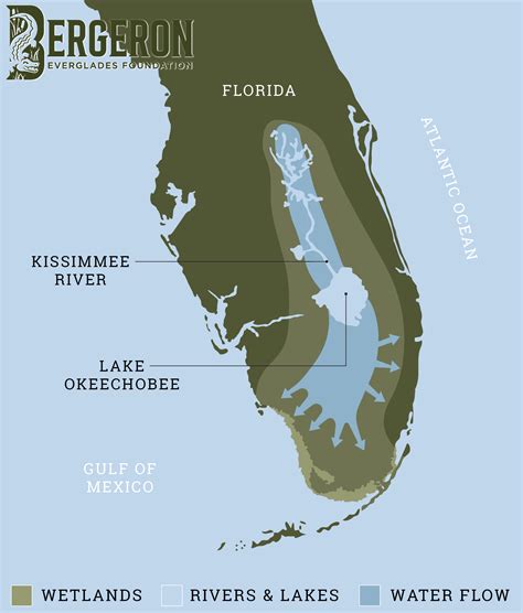 Journey of Water - Bergeron Everglades Foundation