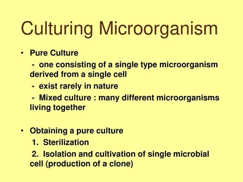 Culturing Microorganism Pure Culture One Consisting Of A Single Type