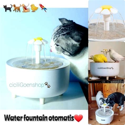 Jual Water Fountain Dispenser Air Minum Anjing Kucing Burung Tempat