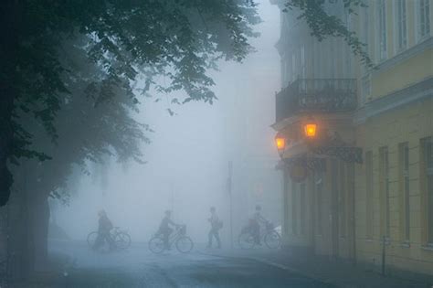 Showcase of Inspiring Foggy Photography - Web Design Ledger