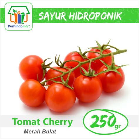 Jual Tomat Cherry Hidroponik Surabaya Sidoarjo Shopee Indonesia