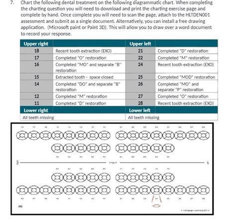 Solved Chart The Following Dental Treatment On The Following