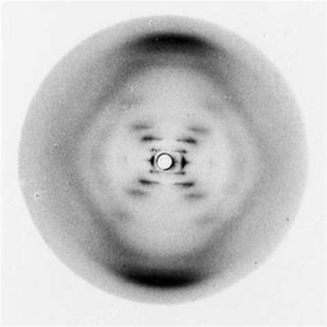 Womens History Month Rosalind Franklin