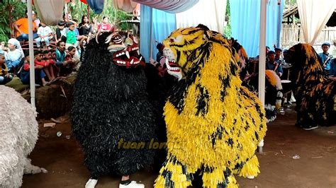 Vlog Lucu Jember Part Drumband Macan Mbah Lakek Hamdians Liondance