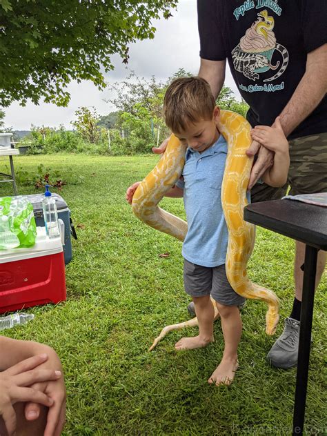 DIY Reptile Birthday Party DIY Danielle