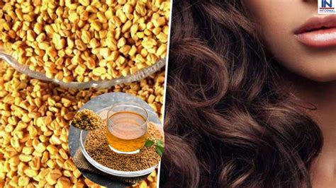 How To Use Methi Water For Hair हेयर की सभी समस्यायों का रामबाण इलाज डैंड्रफ और खुजली और सफ़ेद