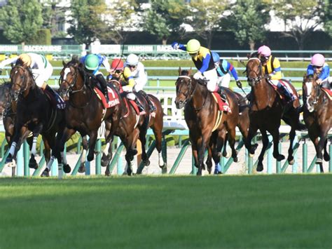 【ジャパンc予想】“先団からこの脚が使えるようなら面白い” 展開面から注目の1頭 競馬ニュース Netkeiba