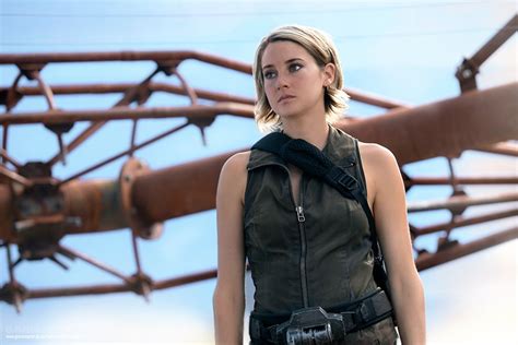 Der Divergent Star Shailene Woodley Wurde F R Das Biopic Ber Janis