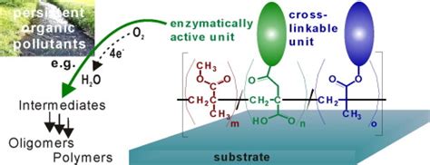 用于酶固定的多功能可交联衣康酸共聚物european Polymer Journal X Mol