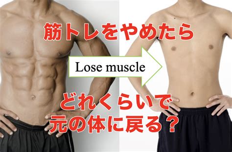 筋トレをやめたら筋肉はどれくらいで元に戻る対策方法も含めて紹介 WorKintoreブログ 1年間筋トレをして得た知識体験談を発信