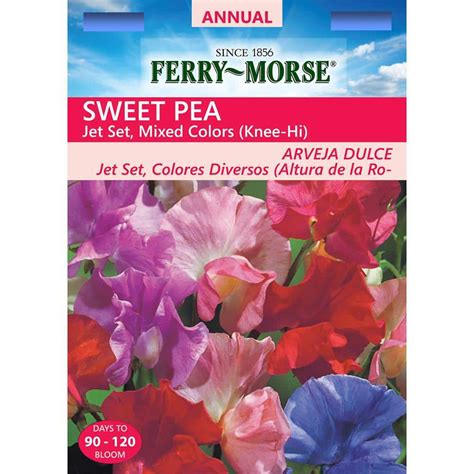 Ferry Morse Sweet Pea Jet Set Mixed Colors Seed 1159 The Home Depot