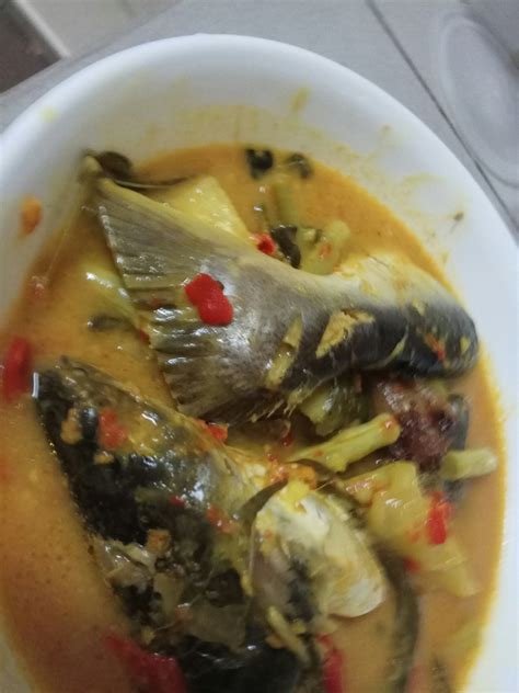 Ikan Patin Masak Tempoyak Simple Resepi Ikan Patin Masak Tempoyak