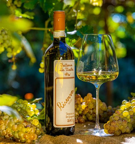 Witte Wijn Vernaccia Di San Gimignano Riserva D O C G 2020 Doos Met 6