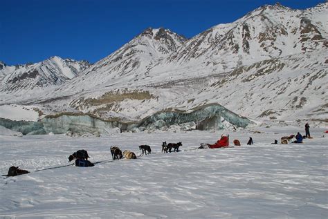 What to do in Denali National Park in winter