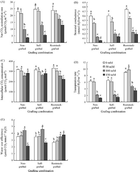 Effects Of Nacl Concentrations And Mm In The Nutrient