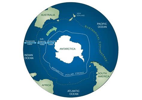 Welcome to the Southern Ocean - Antarctic and Southern Ocean Coalition