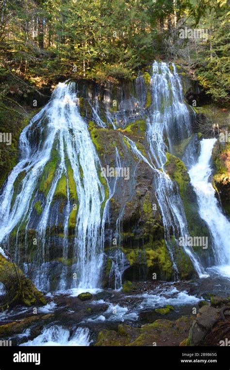 Panther Creek Falls Ford Pinchot National Forest Washington State