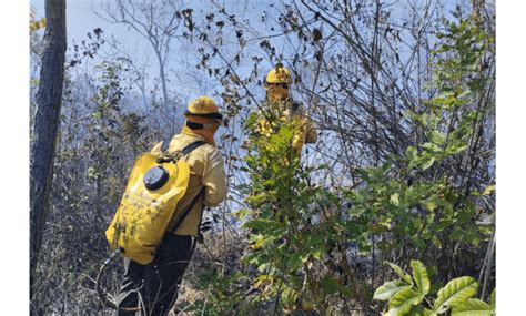 Se Registra El Primer Incendio Forestal En El Cañón Del Sumidero En