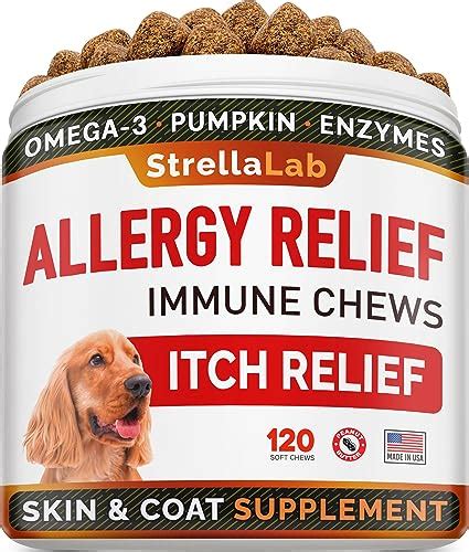 Top 10 Best Dog Allergy Medications In 2023 - Glory Cycles