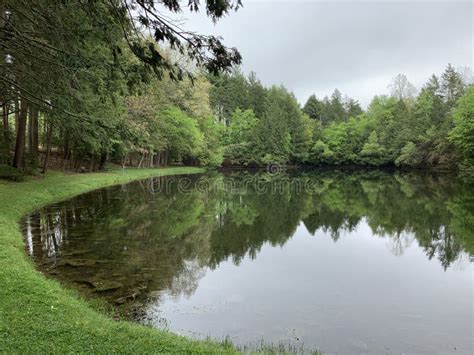 Small Pond Surrounded By Trees Stock Photo Image Of Lawn Summer