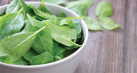 Spinach Recipe Contest Winners Farmers Almanac Plan Your Day Grow Your Life