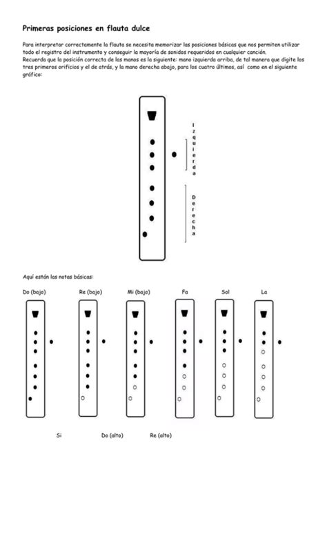 Espesar Latón cesar posiciones de flauta dulce notas físicamente
