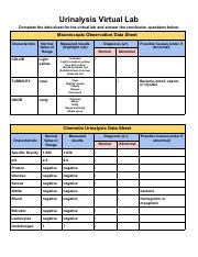 Urinalysis Virtual Lab 2 Pdf Urinalysis Virtual Lab Complete The Data