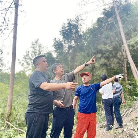 【乡镇人大】公平镇：山火无情人有情，代表“逆行者”共克时艰防火救援森林