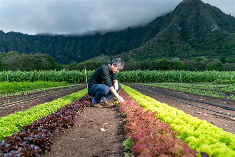 Chef Roy Yamaguchi to lead culinary program at this UH campus — Roy Yamaguchi