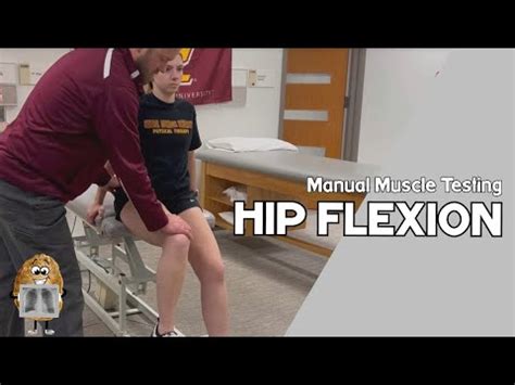 Mmt Hip Flexion Manual Muscle Test Youtube