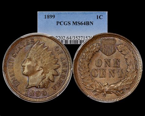 1899 1c Indian Cent Pcgs Ms64bn The Penny Lady®