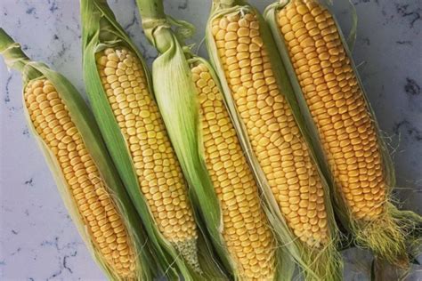 How To Grow Sweetcorn In Your Garden Garden Patch