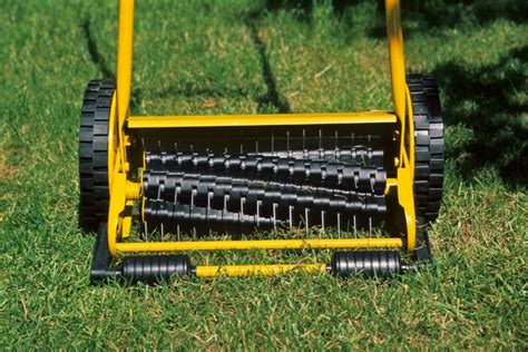 What Is A Scarifier Used For A Complete Guide To Scarifying Your Lawn