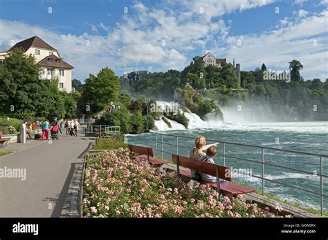 River Rhine Falls And Laufen Castle Near Schaffhausen Neuhausen Am