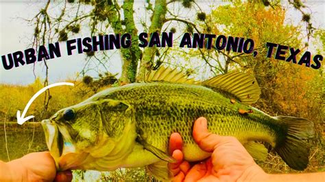 WHY Are Bass EASY To Catch HERE URBAN Bass Fishing San Antonio