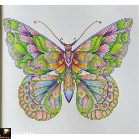 Johanna Basford Magical Jungle Butterfly