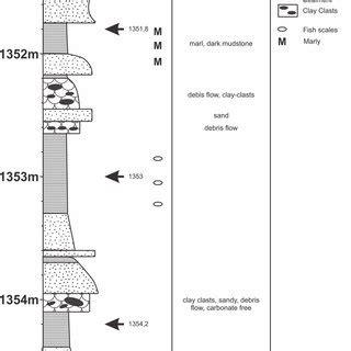 The sedimentary log of Wildendürnbach K4 between 1355 1351 m is