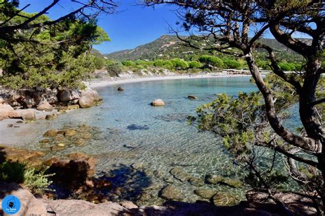 La Plage De Palombaggia En Corse Porto Vecchio