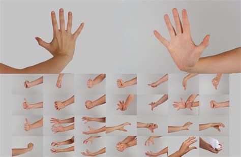 Hand Poses Stock Pack by Danika-Stock on DeviantArt Human Reference ...