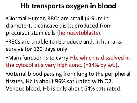 Respiratory System Structure And Function Of Heamoglobin Core