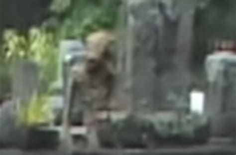 Watch What Is This Bizarre Alien Humanoid Caught On Camera Hiding In