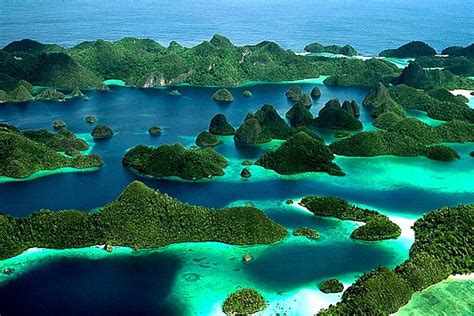 Fakta Unik Raja Ampat Dan Tempat Menyelam Terindah Di Dunia