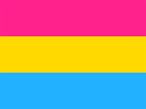 Pansexual Lgbt Pride Flag Pn0112 Demisexual Flag