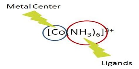 Equilibria of Complex Ions - QS Study