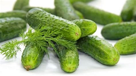 Cucumber Nutrition Amazing Cucumber Nutritional Facts And Health