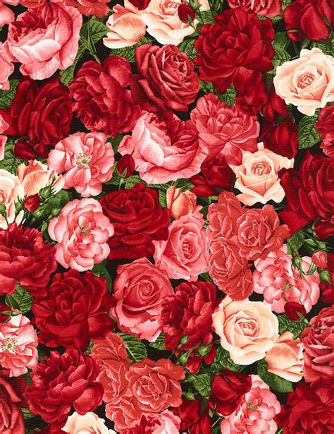 Packed Roses C5815 Timeless Treasures Quilt Fabric Red Roses Etsy