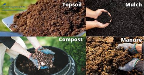 Compost Manure Topsoil And Mulch Understanding The Difference