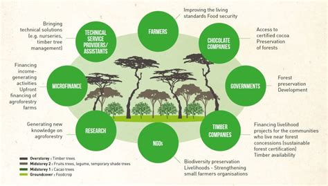 Opportunities identified to test and develop an agroforestry system based on cacao-timber tree ...